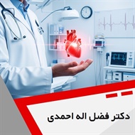 دکتر فضل اله احمدی گروه پزشک متخصص بیماری های قلب و عروق