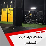 باشگاه کراسفیت فینیکس گروه کراس فیت و فانکشنال فیتنس (آقایان)
