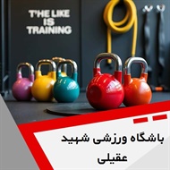 باشگاه ورزشی شهید عقیلی گروه باشگاه ورزشی بانوان و آقایان