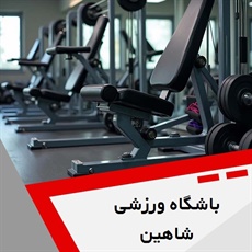 باشگاه ورزشی شاهین  گروه باشگاه ورزشی بانوان