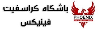 باشگاه کراسفیت فینیکس