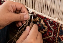 نمایش توضیحات ریشه زنی فرش